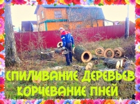 Спиливание деревьев Воронеж в объявлении 1 фото Спиливание деревьев Воронеж картинка из объявления