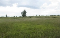 Продам коммерческую недвижимость 2300 сот картинка из объявления
