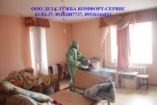 Уничтожение клопов холодным туманом картинка из объявления