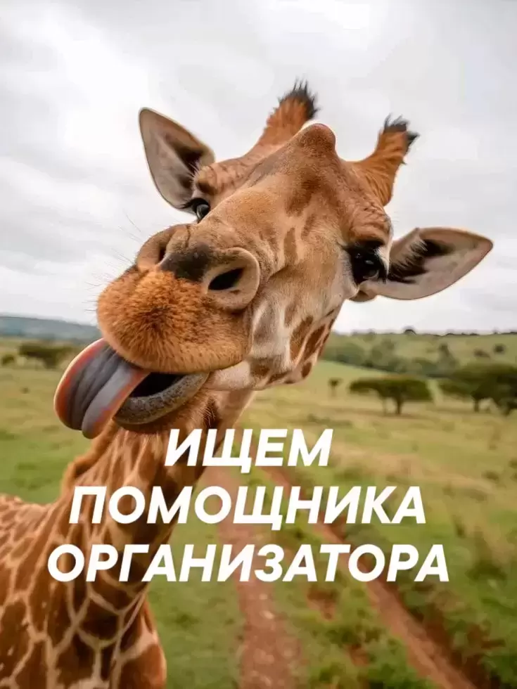Помощник организатора в объявлении 1 фото Помощник организатора картинка из объявления
