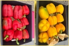 Сладкий перец Красный, Желтый картинка из объявления