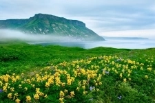 💫Красноярский край, Дудинка💫 в объявлении 1 фото 💫Красноярский край, Дудинка💫 картинка из объявления