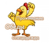 Разнорабочий на птицефабрику картинка из объявления