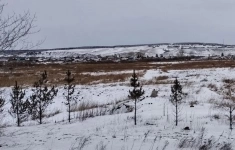 Продам участок 1980.2 сот. в объявлении 8 фото Продам участок 1980.2 сот. картинка из объявления