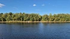 Продам участок 25 соток на первой линии Свири: тишина, природа и статусное место в объявлении 5 фото Продам участок 25 соток на первой линии Свири: тишина, природа и статусное место картинка из объявления