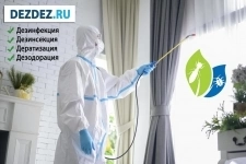 Профессиональная дезинсекция, дератизация и дезинфекция в Москве картинка из объявления