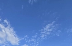 Продам коммерческую недвижимость 825.2 м2 картинка из объявления