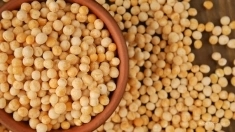 Горох в объявлении 1 фото Горох картинка из объявления