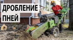 Удаление пня Медовка и фрезеровка пней в Воронежской области в объявлении 1 фото Удаление пня Медовка и фрезеровка пней в Воронежской области картинка из объявления