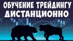 обучение трейдингу, финансовой грамотности в объявлении 1 фото обучение трейдингу, финансовой грамотности картинка из объявления