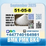 Procaine HCl 51-0-8 bvf bk4/2b4m BMK pmk source factory картинка из объявления