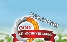 Помощник ветеринарного врача картинка из объявления