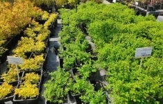 Сдам коммерческую недвижимость 200 м2 картинка из объявления