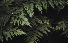 Воспитатель картинка из объявления