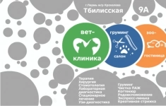 Ветеринарный врач в объявлении 1 фото Ветеринарный врач картинка из объявления