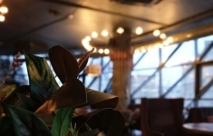 Официант картинка из объявления