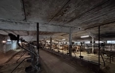 Сдам коммерческую недвижимость 3350 м2 в объявлении 10 фото Сдам коммерческую недвижимость 3350 м2 картинка из объявления