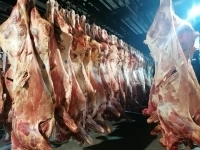 Мясо говядины,баранины,свинины,охлажденка,заморозка в объявлении 1 фото Мясо говядины,баранины,свинины,охлажденка,заморозка картинка из объявления