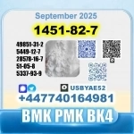 1451-82-7 BK4 2b4m PMK bvf 49851-31-2 safe delivery картинка из объявления