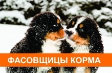 Упаковщица / Фасовщица без опыта / Работа с жильем и авансами картинка из объявления