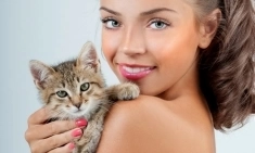 Стикеровщицы корма для кошек и собак картинка из объявления