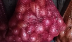 Лук домашний картинка из объявления