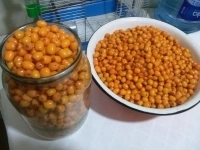 Облепиха картинка из объявления