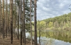 Продам коммерческую недвижимость 527.45 м2 картинка из объявления