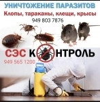 Избавим от Клопа таракана, блох. Истребим мыши, крыс. Уберём запа картинка из объявления