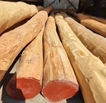 Акация, карагач круглый лес, пиломатериалы оптом. картинка из объявления