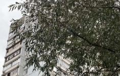 Продам 2 комнатную квартиру 46 м2 картинка из объявления