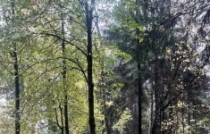 Продам участок 34.6 сот. картинка из объявления