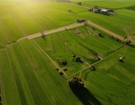 Продажа земли  сельскохозяйственного назначения картинка из объявления