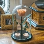 Роскошные розы в колбе в объявлении 4 фото Роскошные розы в колбе картинка из объявления