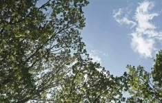 Продам коммерческую недвижимость 64 м2 картинка из объявления