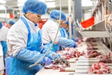 Вахта 15/15 в Белгородской области / Упаковщик Без опыта в объявлении 1 фото Вахта 15/15 в Белгородской области / Упаковщик Без опыта картинка из объявления