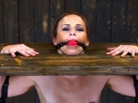 В зубы, в десны... по самую раму, м. Василеостровская, +7 (981) 841-46-80 , Оля картинка из объявления