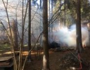 Дезинфекция от тараканов и клопов в служба картинка из объявления