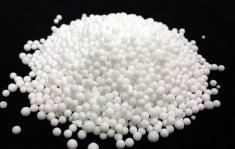 , купить растения в объявлении 1 фото , купить растения картинка из объявления