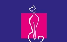 Продавец-кассир в объявлении 1 фото Продавец-кассир картинка из объявления