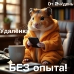 Удаленный HR-менеджер (от 2 часов/день). Без опыта. Только телефон! картинка из объявления