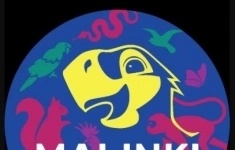 Категорийный менеджер картинка из объявления