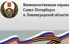 Полицейский вневедомственной охраны картинка из объявления