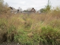 микрорайон Черемухово поповская дача картинка из объявления