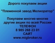 Покупка акций «Племенной завод Мелиоратор» картинка из объявления
