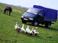 Услуги грузоперевозок в объявлении 2 фото Услуги грузоперевозок картинка из объявления