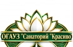 Водитель автомобиля в объявлении 1 фото Водитель автомобиля картинка из объявления