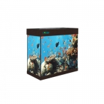 Магазин аквариумов в объявлении 4 фото Магазин аквариумов картинка из объявления