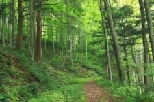 Продажа прав аренды в объявлении 1 фото Продажа прав аренды картинка из объявления