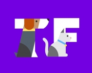 Онлайн-платформа помощи животным TEDDY FOOD в объявлении 1 фото Онлайн-платформа помощи животным TEDDY FOOD картинка из объявления